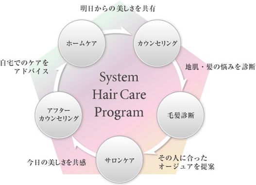 system hair care program